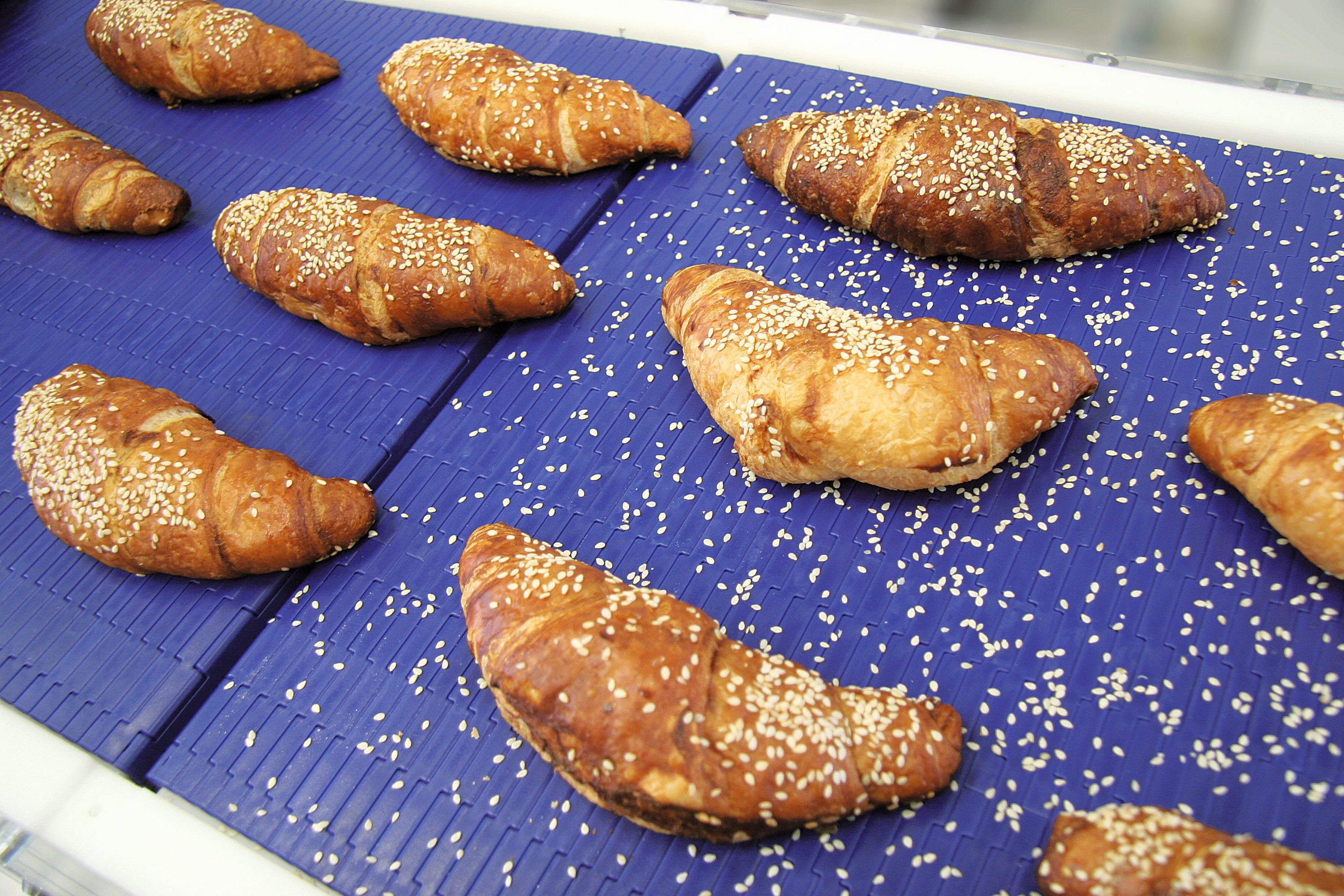 M0870 micropitch 01.jpg M0870 micropitch 01.jpg