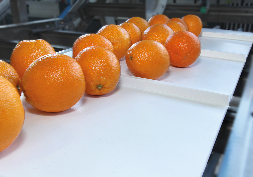 Food_belt06-carousel.jpg Food_belt06-carousel.jpg