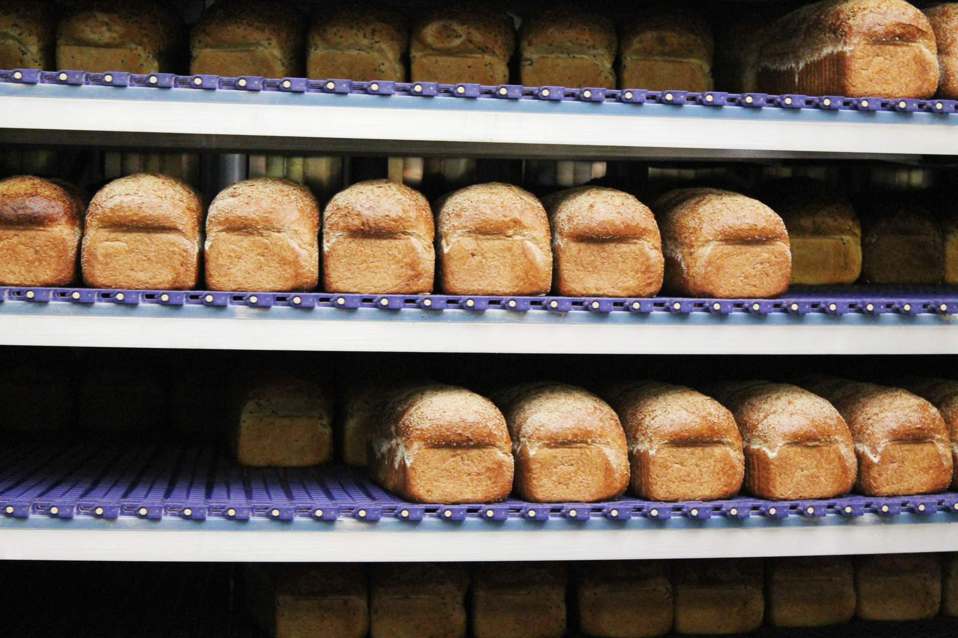 IMG_3538.JPG IMG_3538.JPG