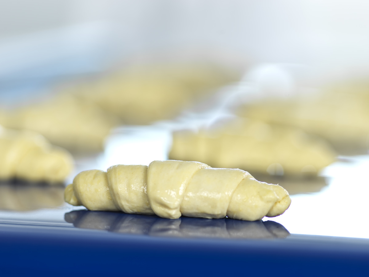 jkfphoto-Habasit_131278.jpg jkfphoto-Habasit_131278.jpg