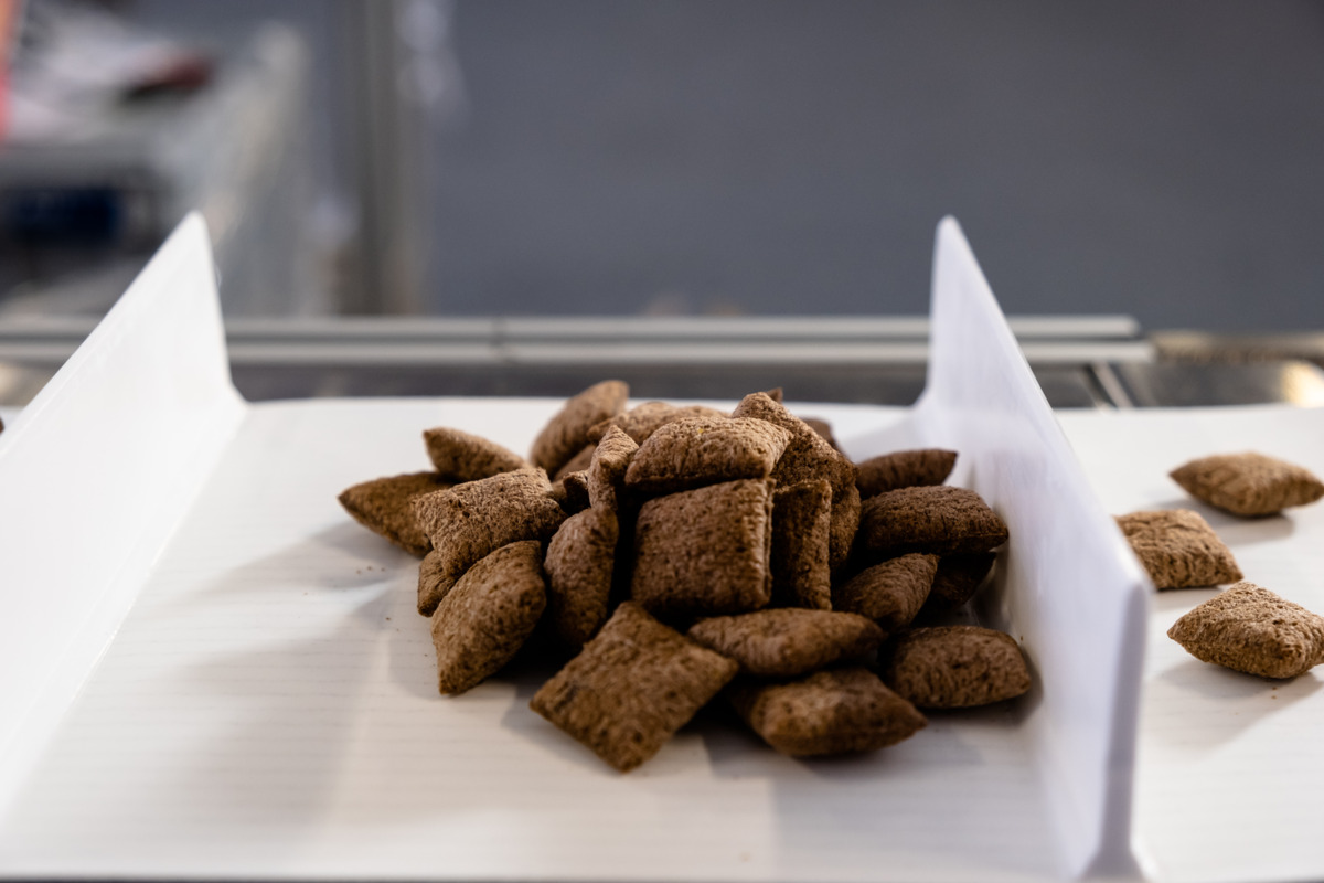 DSCF1003.jpg DSCF1003.jpg