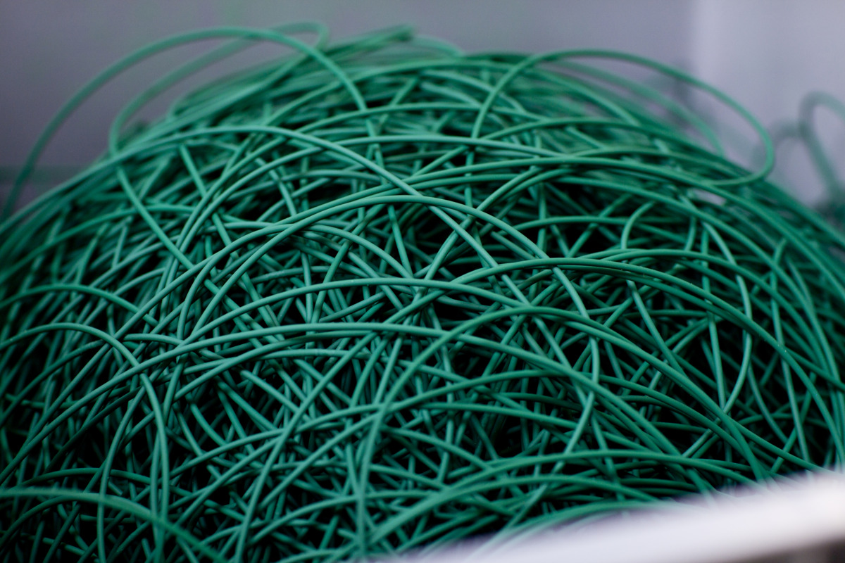 _MG_8353.jpg _MG_8353.jpg