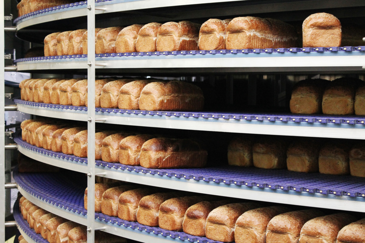 IMG_3499.tif IMG_3499.tif