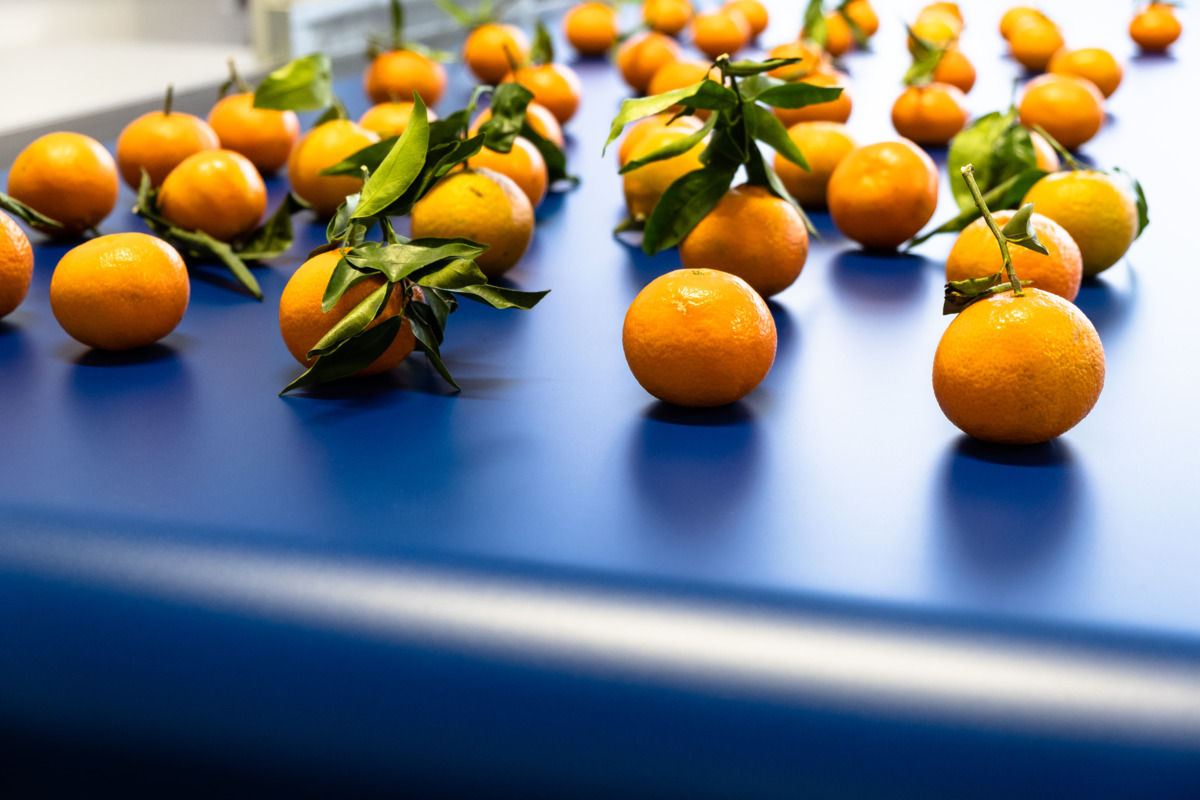 DSCF0961-Edit.jpg DSCF0961-Edit.jpg