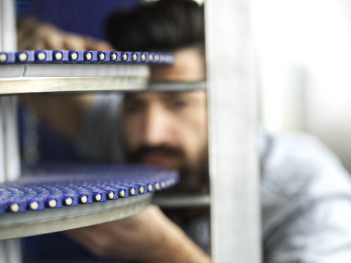 jkfphoto-Habasit_131170.jpg jkfphoto-Habasit_131170.jpg