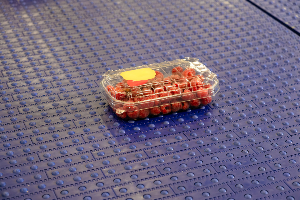 Sphere Top belt with raspberries in transparent box