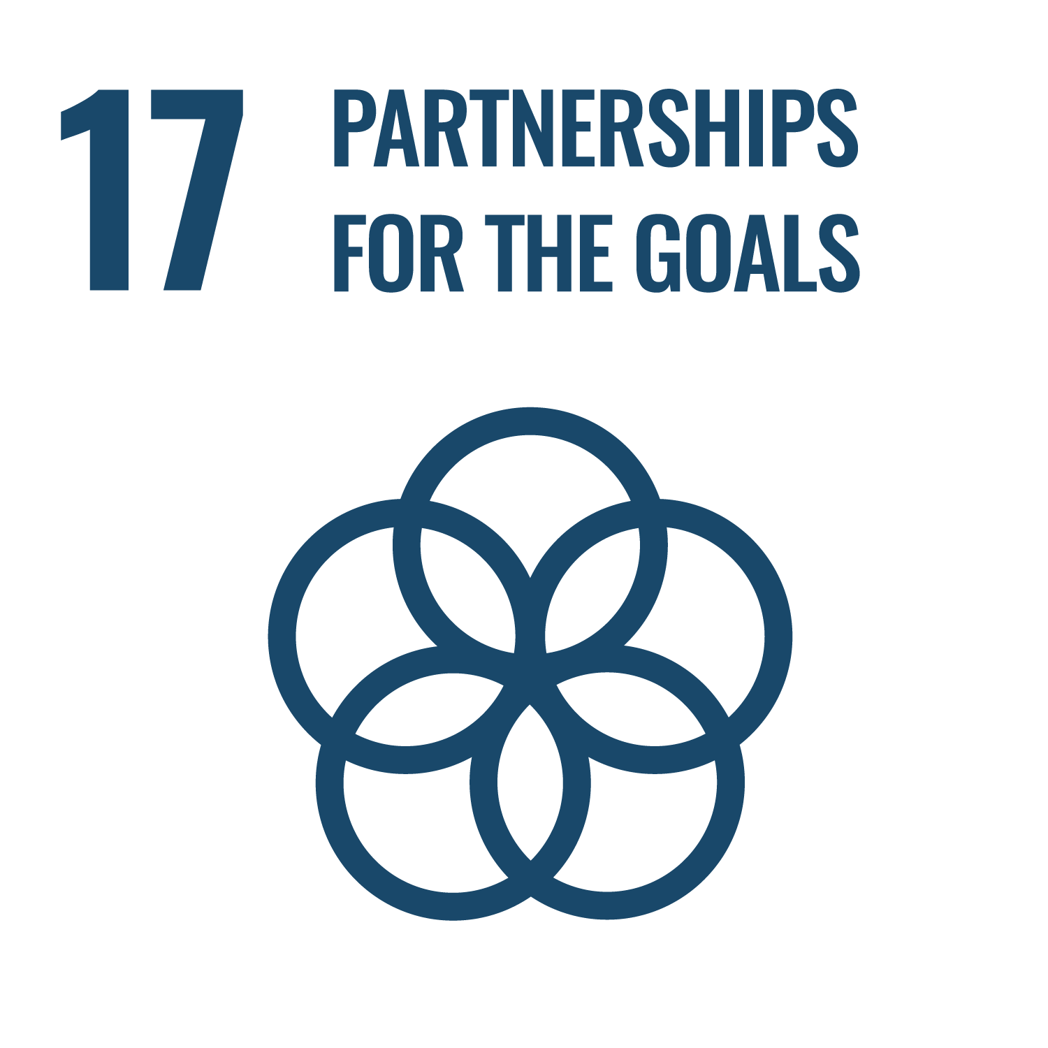 SDG Goal 17